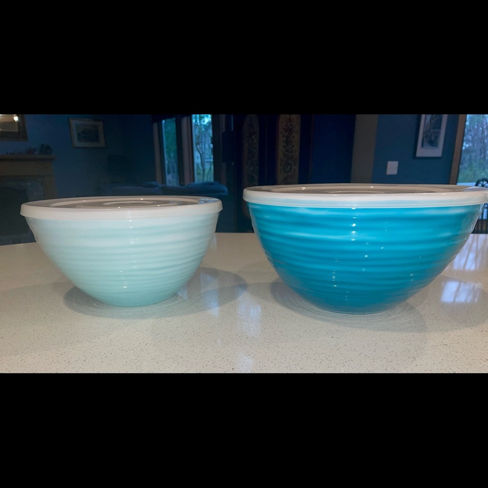 2 two toned Blue Melamine Bowls with plastic covers